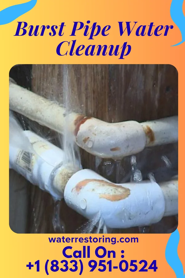 Burst Pipe Water Cleanup in St. Augustine, FL