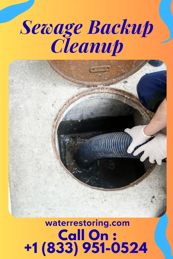 Sewage Backup Cleanup in St. Augustine, FL